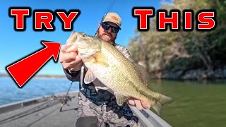 These Baits Catch Fish When The Bite Is Terrible  Winter Bass Fishing [upl. by Akers]