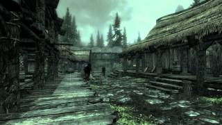 Skyrim  Standard vs Forced Anisotropic Filtering  Modded Rain [upl. by Monto590]