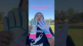 Adidas Predator Pro quick review goalkeeper goalkeeping soccer portero adidas [upl. by Crissie16]