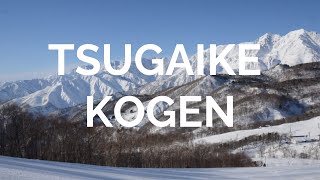 Tsugaike Kogen Ski Resort in Hakuba Japan [upl. by Rooney]