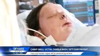 Chimp maul victim Charla Nash gets 4m payout [upl. by Ynnav]