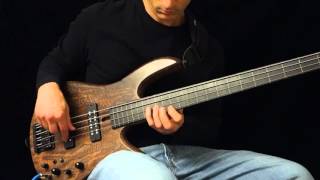 DAMIAN COCCIO  AMBIENT FRETLESS BASS  BassTheWorldcom [upl. by Eirellam917]