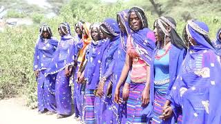 Qafar Seyoo Eide afar Beautiful cultural dance 2024 ethiopian culturaldance [upl. by Nalac]