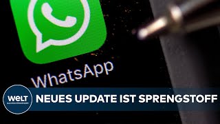 WHATSAPP Das neue Update regt viele auf Doch wenn Sie es ablehnen ist der Messenger bald still [upl. by Selij]