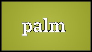 Palm Meaning [upl. by Elson]