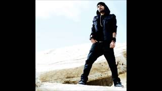 Bohemia  Rooh Remix by Dj Shadow Dubai Official Audio [upl. by Elicul850]