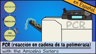 PCR reacción en cadena de la polimerasa [upl. by Afital]