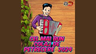 Colectie de MUZICA MOLDOVENEASCA 2024 [upl. by Erreipnaej]