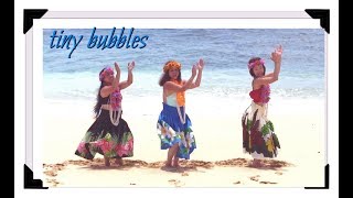 Tiny Bubbles Hawaiian Dance [upl. by Edholm]