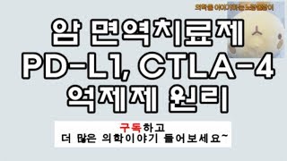 암면역치료제Cancer Immunotherapy 기전mechanism PDL1 CTLA4 [upl. by Yesnel]