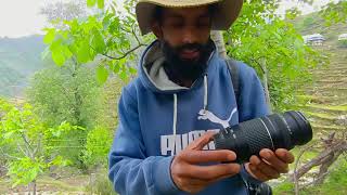 Cheapest Lens  Canon EF 70300mm f456 Lens  Bird Photography 🔥 birds canon photography [upl. by Nesto]