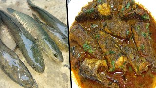 स्पेशल गरई मछली रेसीपी  Garai Fish Recipe  Fish Curry Recipe  Fish Recipe  Fish Fry  Fish Curry [upl. by Hatch]