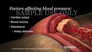 Understanding Basic Blood Pressure Control  Nucleus Health [upl. by Zetnahs]