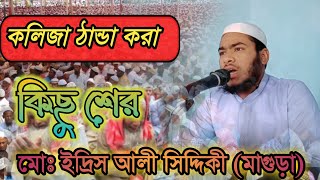 কলিজা ঠান্ডা করা কিছু শের মোঃ ইদ্রিস আলী সিদ্দিকী মাগুড়া [upl. by Haden]