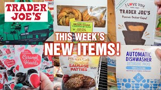 TRADER JOES NEW ITEMS for January 2024 🛒119 [upl. by Attennek]