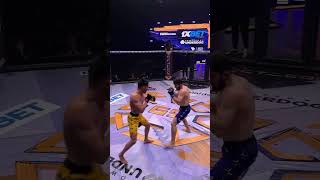 one championship muay thai muaythai ufc short shorts subscribe [upl. by Ienttirb]