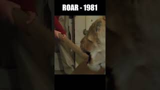 Roar Movie 1981  Lion Biting Melanie Griffith [upl. by Lerad]