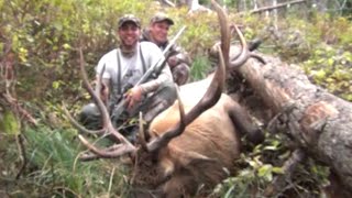 BIG BULL ELK DOWN FIRST DAY  Stuck N the Rut 37 [upl. by Rahal]