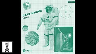 Catz n Dogz  Rave History Pional Remix [upl. by Fabiolas]