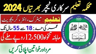 Teaching Jobs in Punjab Pakistan 2024  Govt School Job 2024  Educators Jobs 2024  Teacher Jobs [upl. by Pedaiah]