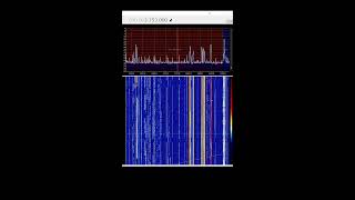 Kurzwellen RTL SDR Live [upl. by Damara]