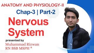 Nervous System Anatomy And Physiology2 UrduHindi  Chap3Part2 BSN Study KMUMCQS Pattern [upl. by Zimmerman]