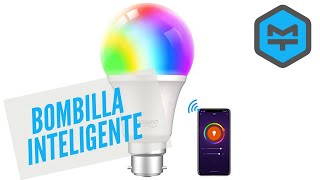 Cómo configurar las bombillas inteligentes Gosund con Alexa [upl. by Licha404]