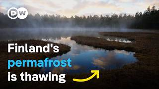 Melting wetlands  How can nature slow down climate change  DW Documentary [upl. by Hasile]