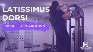 Latissimus Dorsi  Muscle Breakdown Series [upl. by Mount]