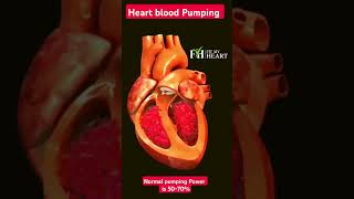 Heart Blood Pumping Chambers and Valves fitmyheart [upl. by Manolo]