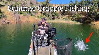 Summer Crappie Fishing Lake Berryessa [upl. by Ttcos347]