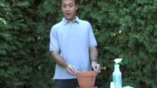 CanadianGardeningcom presents Propagating Conifers [upl. by Havard]