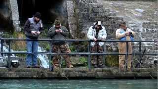 Discover trout fishing in Missouri [upl. by Akehsal799]