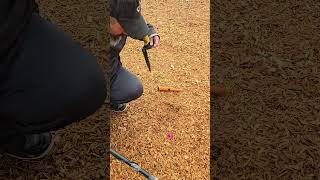 November 12 2024 metal detecting metaldetecting [upl. by Ivon]