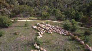 Bunjil in You Yangs Regional Park Victoria Australia andrewrogers andrewrogersart artaustralia [upl. by Annavoig618]