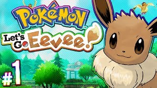 Pokemon Lets Go Eevee  100 Full Game Walkthrough  PART 1 [upl. by Surtimed]