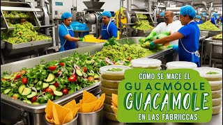 Como se cosechan aguacates para hacer guacamole en las fabricas [upl. by Sewel]