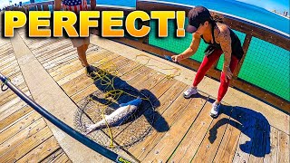 Monster Fish Eats First Cast Pensacola Beach Fishing Pier [upl. by Acillegna]