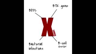 Xlinked Brutons Agammaglobulinemia  Defect Presentation amp Findings [upl. by Lesya]