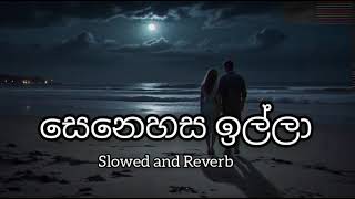 Senehasa Illa  Malani Bullathsinhala Songs  Slowed and Reverb Song [upl. by Ahsema362]