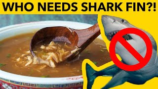 🚫 🦈 Shark Fin Soup without the Shark [upl. by Las]