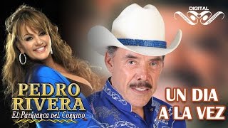 Un Dia A La Vez  Pedro Rivera a Dueto con Jenni Rivera con Mariachi [upl. by Renita]