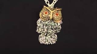 Lucky Brand  Shaky Owl Pendant Necklace SKU8029005 [upl. by Norabal]