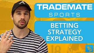 Our Betting Strategy Explained  Trademate Sports Value Betting Software [upl. by Eiddam]