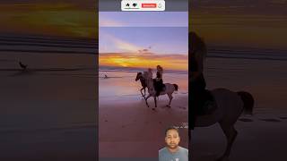 horse beach riding🐎💯  horse life🦄🐴horserunning🔥🐎horseriding horserace shorts [upl. by Demetris]