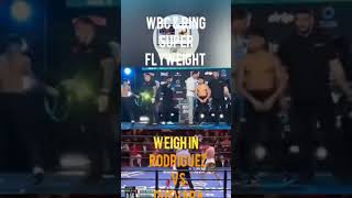 BAMBAM VS GUEVARA WEIGH IN PLUS FIGHT HIGHLIGHTS [upl. by Gnahc]