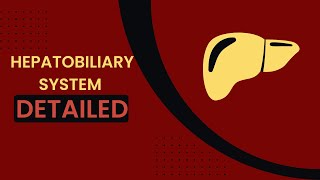 Hepatobiliary system  liver histology  anatomical and functional lobule  blood bile flow [upl. by Aleuname]