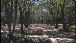 The Design of Landscapes part 1  quota walk in the gardenquot [upl. by Emsoc]