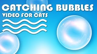 CAT GAMES  Catching Bubbles VIDEO FOR CATS TO WATCH  CAT TV [upl. by Noyar]