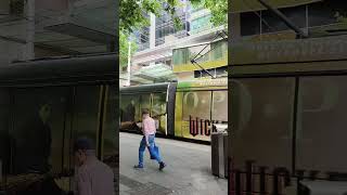 Light Rail in Sydney Australia railway sydney australia shorts shortvideo [upl. by Heater633]